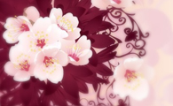 Floral Vector