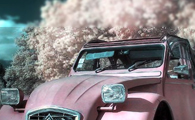 infrared photography photo