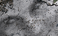 Post image for A Photoshop Tutorial on Creating a Stunning Stone Cursed Man
