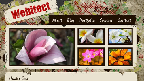 New Web Design Tutorial