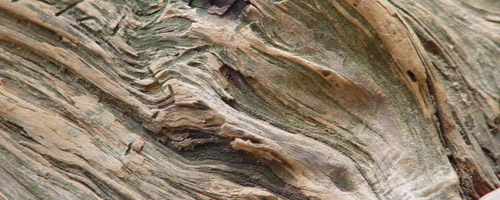 abstract wood texture