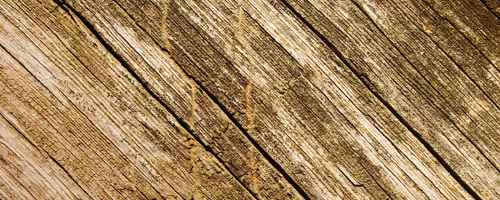 free wood texture