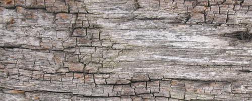 old wood texture