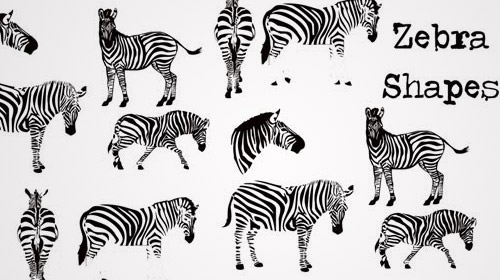 free photoshop zebra custom shapes