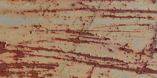 scratched rusty texture