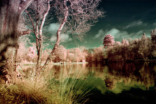 Infrared Waterscape