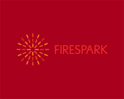 Fire Spark Logo