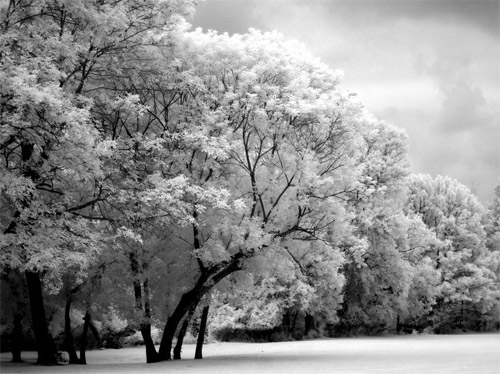black and white infrared