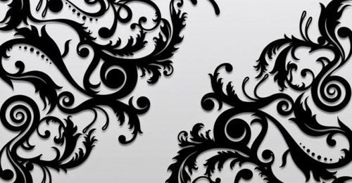 black floral ornaments vector