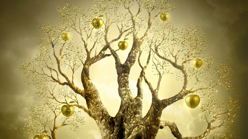 golden apple tree