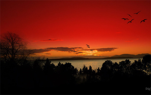 red sky sunset wallpaper