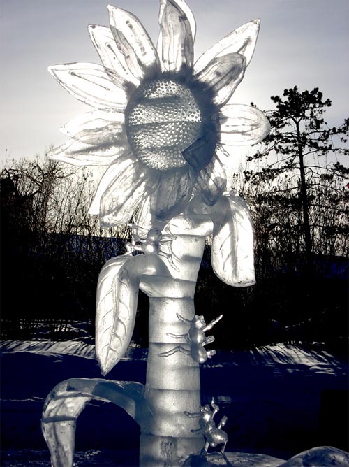 sunflower ice sculpture