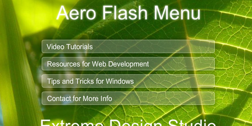 flash menu