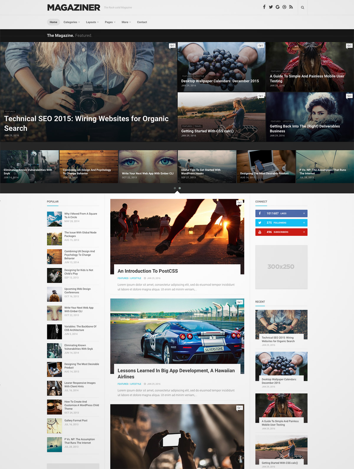 responsive WordPress theme