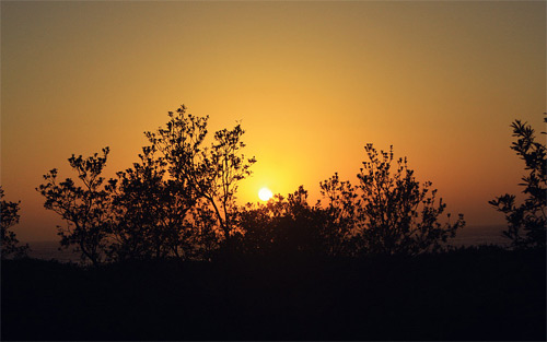 South Durras Sunrise