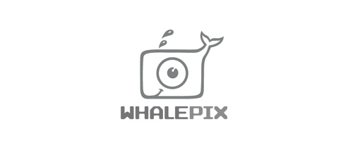 whale pix