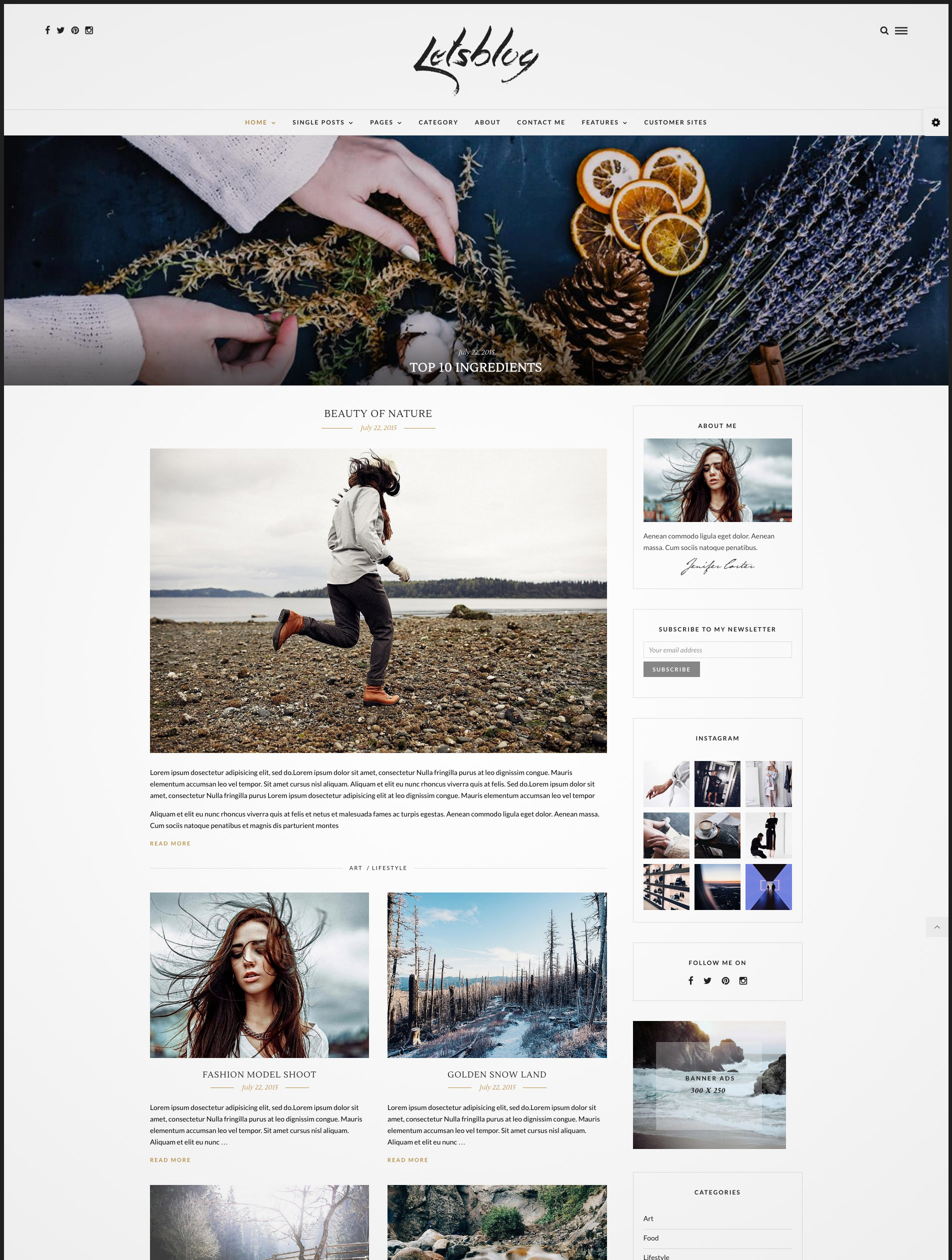 minimal wordpress theme