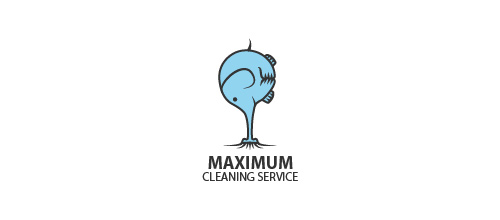 maximum cleaning service