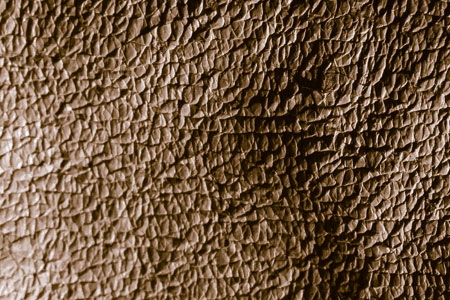 brown scaled textures