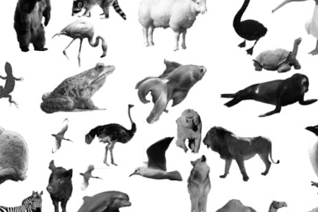 30 Animal Inspired Photoshop Brush Sets | Naldz Graphics