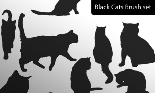 black cat brush set free