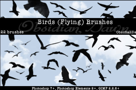 Birds (Flying) Photoshop & GIMP Brushes