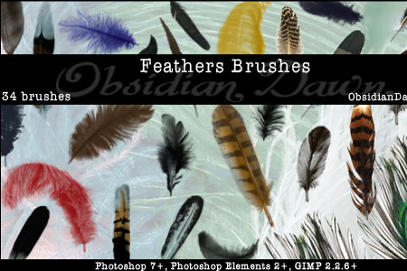 Feathers Photoshop & GIMP Brushes