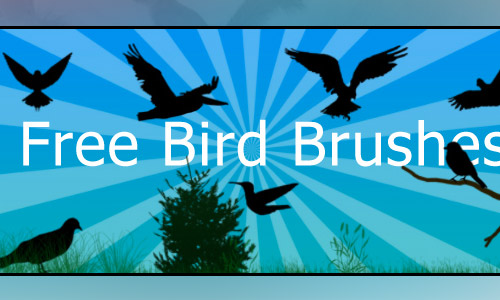 bird free photoshop brushes