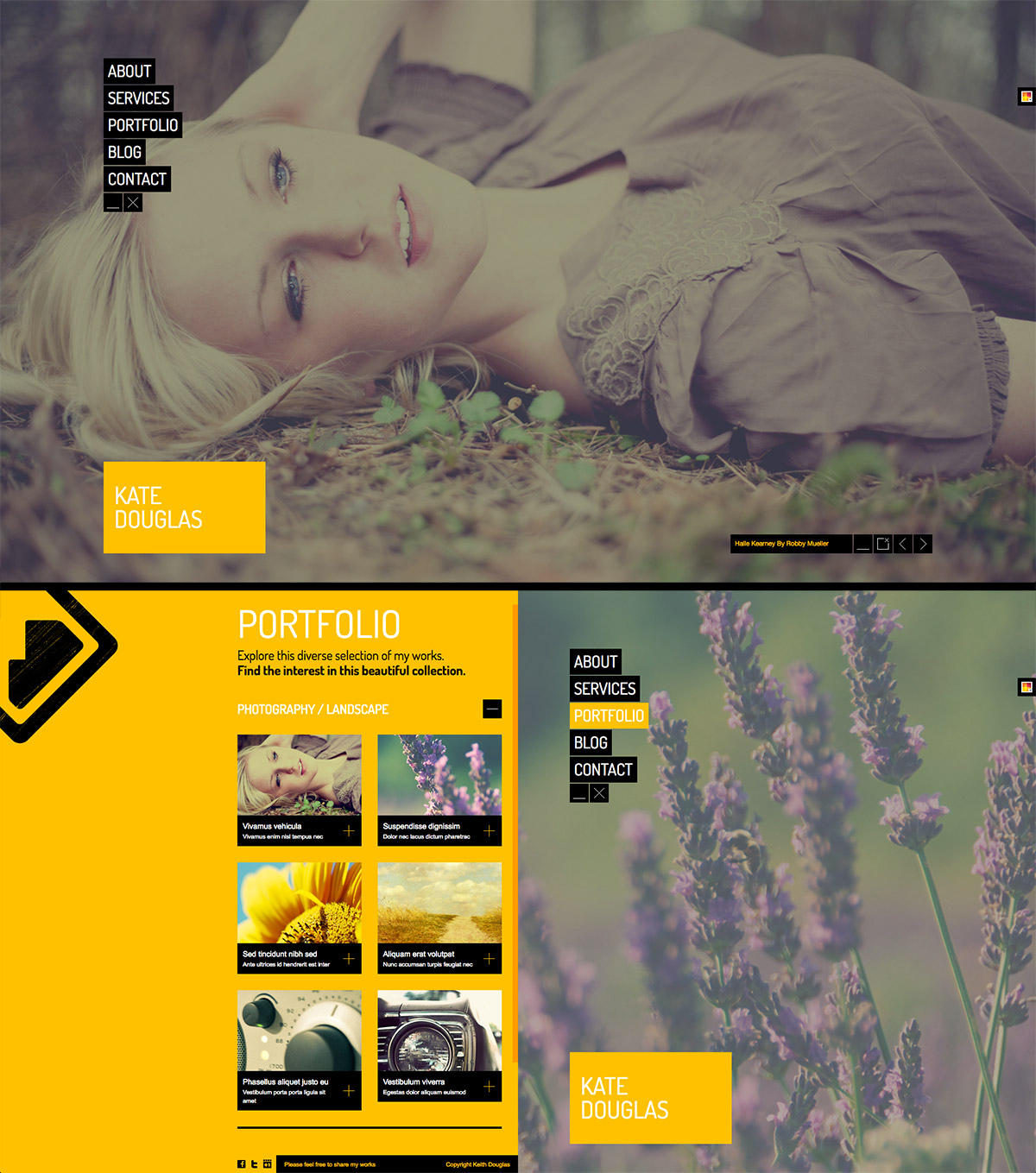 personal portfolio theme