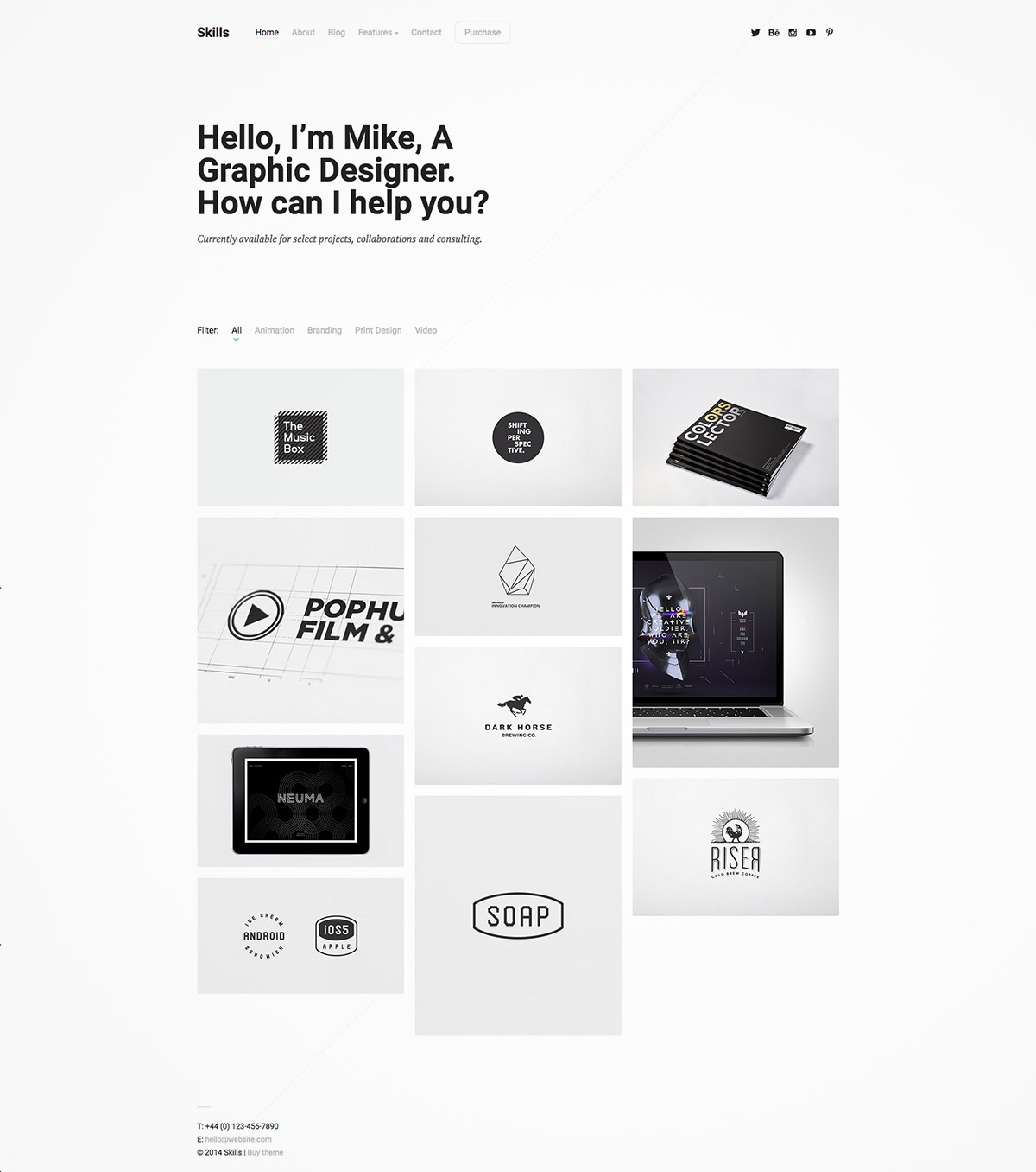 professional portfolio theme