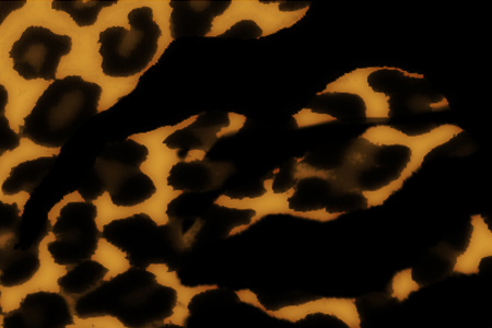 Spots and Stripes Brushes