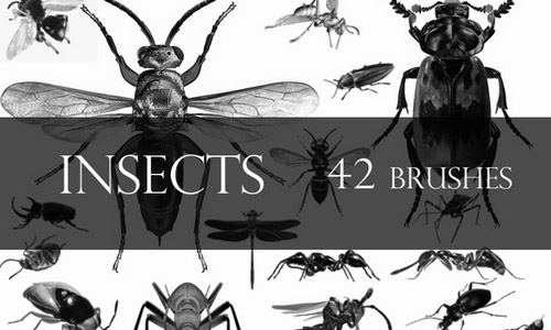 insects free photoshop brushes