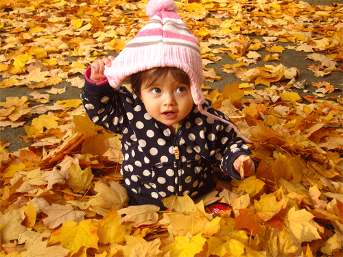 Baby in the Leaves