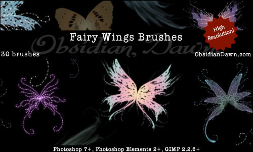enchanted Wings Brush