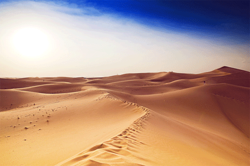 Dubai Desert Dunes