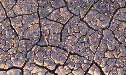 Dry Ground Texture