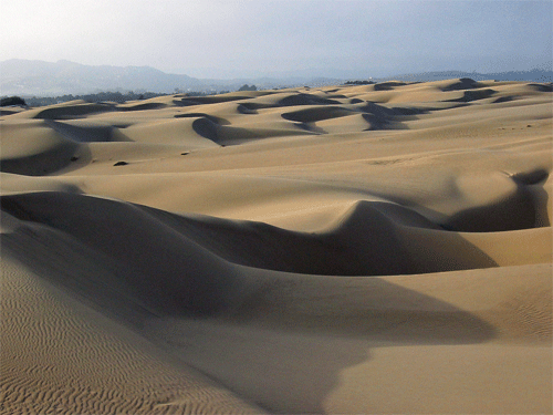 Sand dunes at Oceano, CA enhanced-oceano-dunes-5-31-02-baird