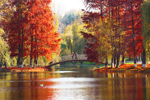 Autumn in Colors