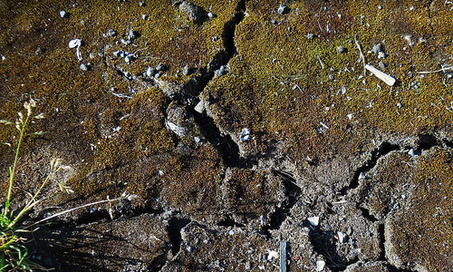 Great Cracked Ground Texture