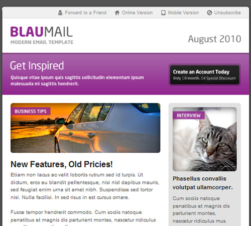 blaumail email template