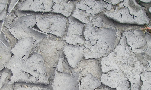 Cool Cracked ground texture