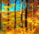 30 Picturesque and Colorful Autumn Photos