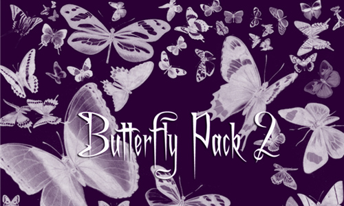 Butterfly Brushes Pack 2