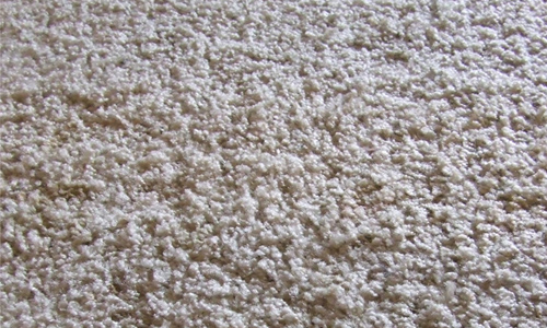 Carpet 002