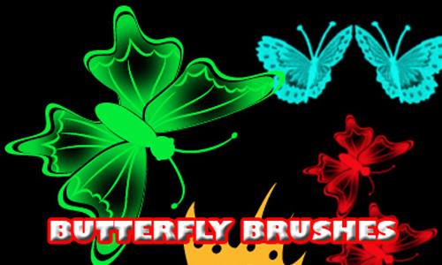 Butterfly Brush