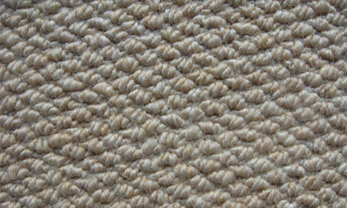 Carpet 01