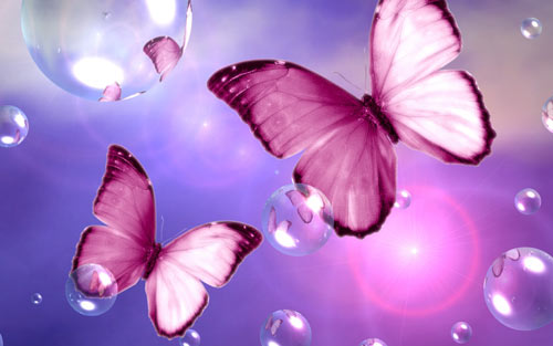 For Pink Lovers Butterfly WP