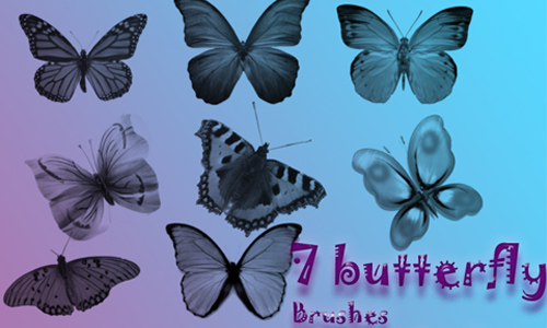 7 Butterfly Brushes