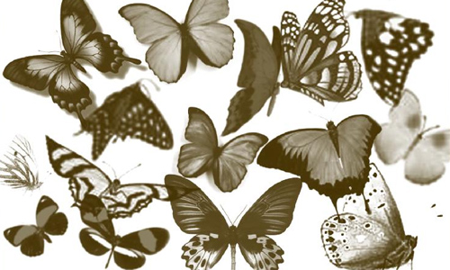 A Collection of Free Butterfly Photoshop Brushes | Naldz Graphics