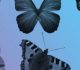 A Collection of Free Butterfly Photoshop Brushes